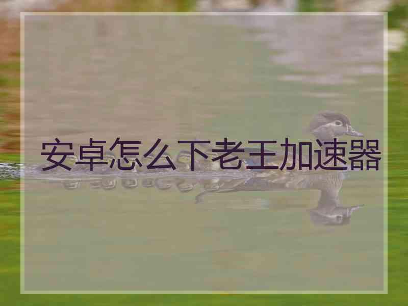安卓怎么下老王加速器