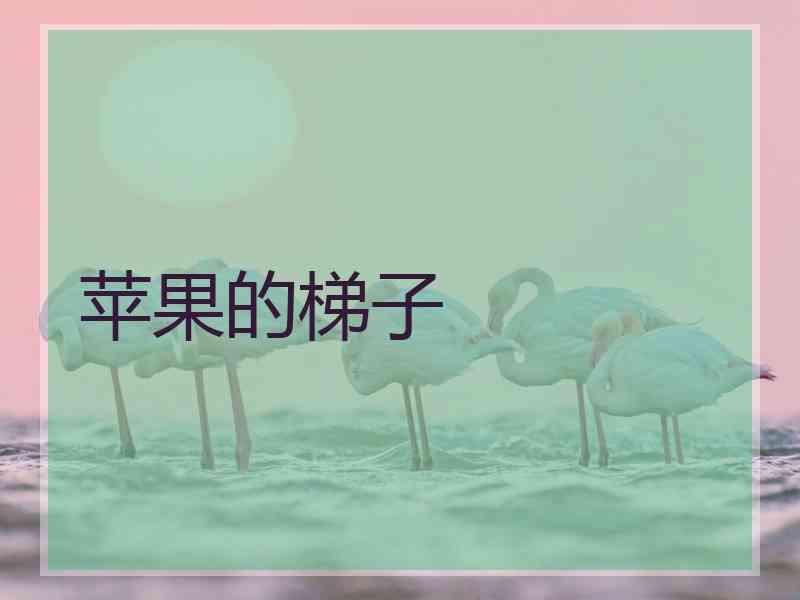 苹果的梯子