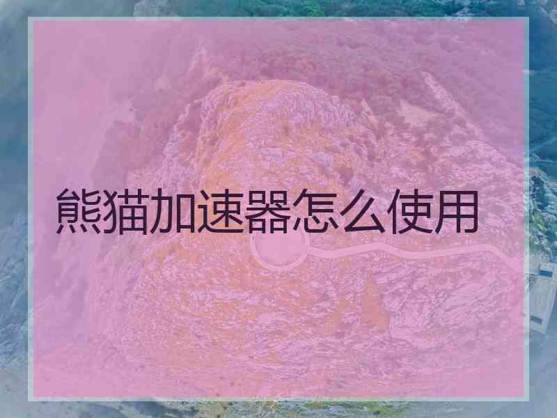 熊猫加速器怎么使用
