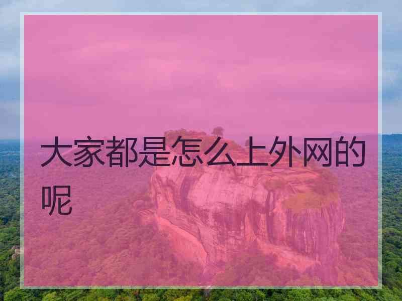 大家都是怎么上外网的呢
