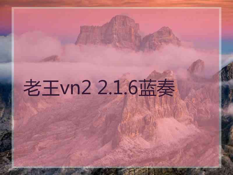 老王vn2 2.1.6蓝奏
