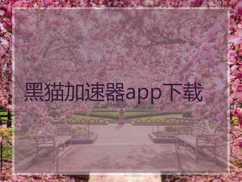 黑猫加速器app下载