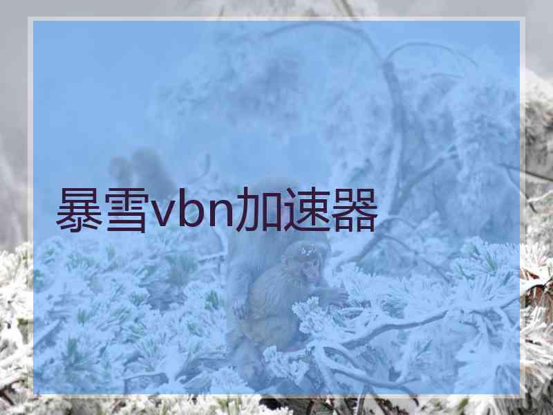 暴雪vbn加速器