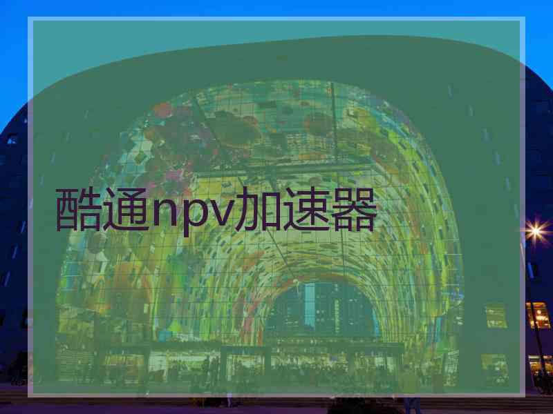 酷通npv加速器