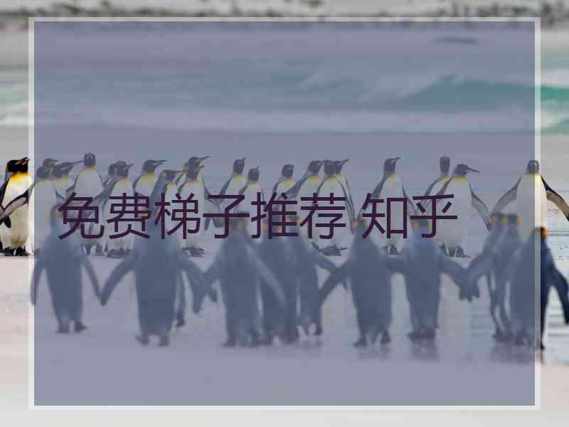 免费梯子推荐 知乎