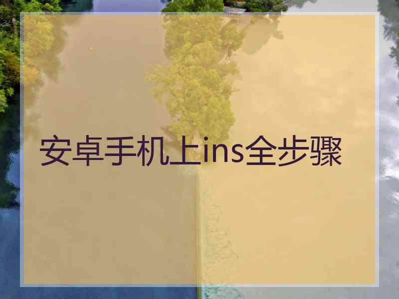 安卓手机上ins全步骤