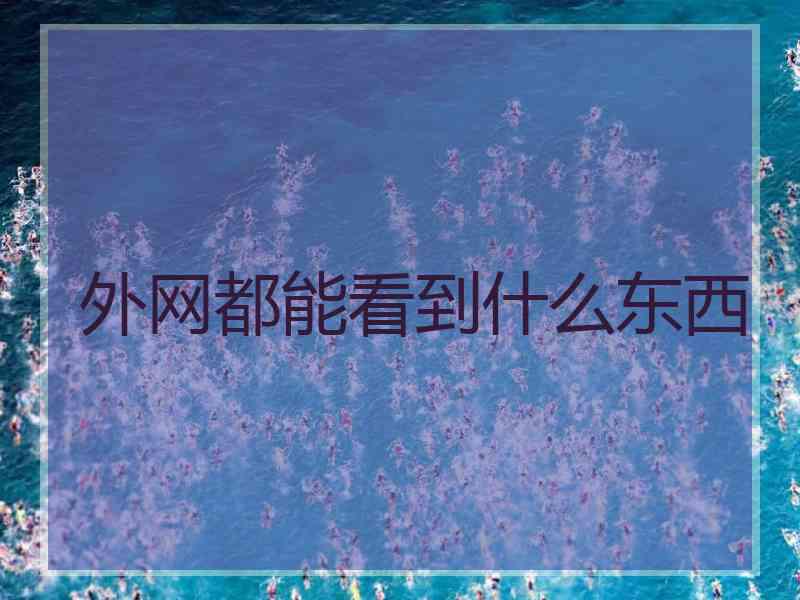 外网都能看到什么东西