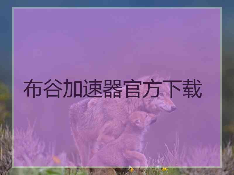布谷加速器官方下载