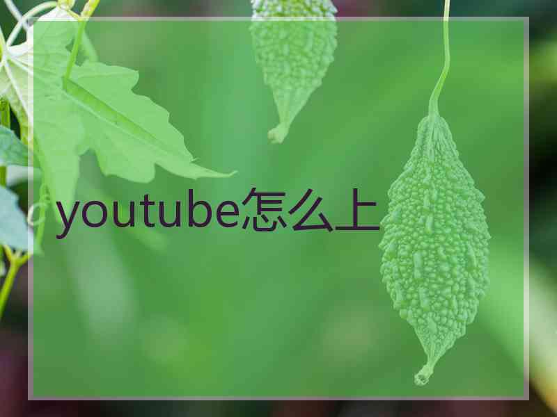 youtube怎么上