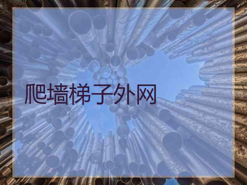 爬墙梯子外网