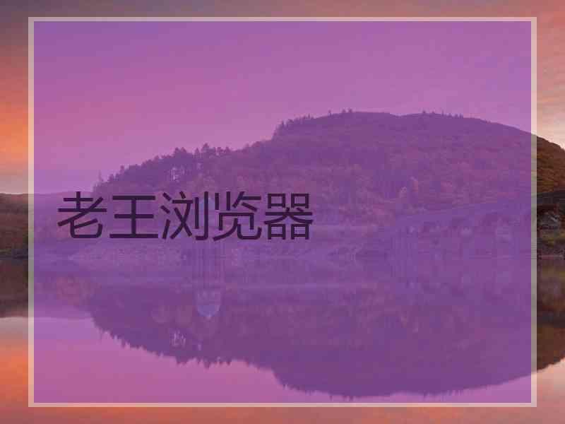 老王浏览器