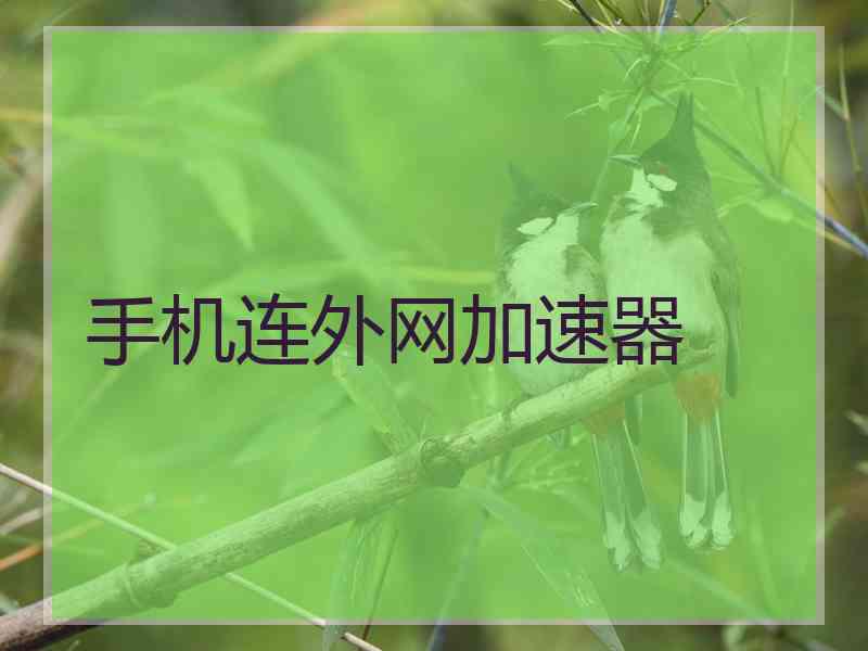 手机连外网加速器