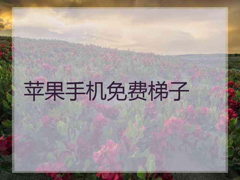 苹果手机免费梯子