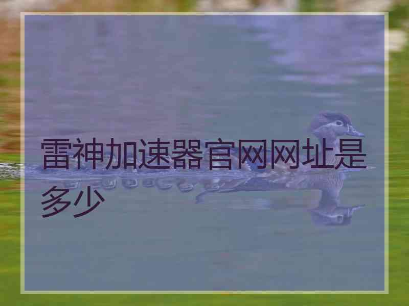 雷神加速器官网网址是多少