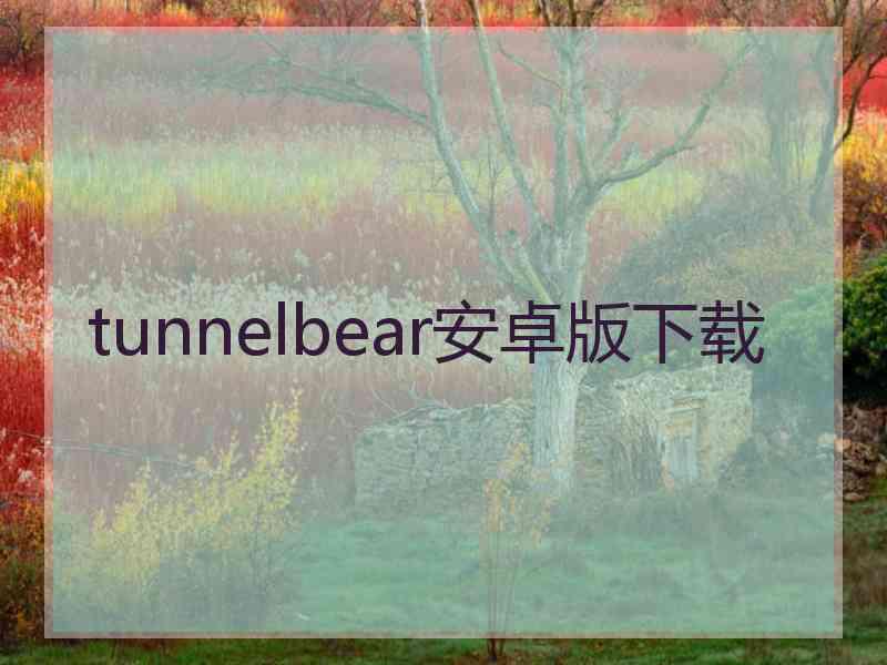 tunnelbear安卓版下载