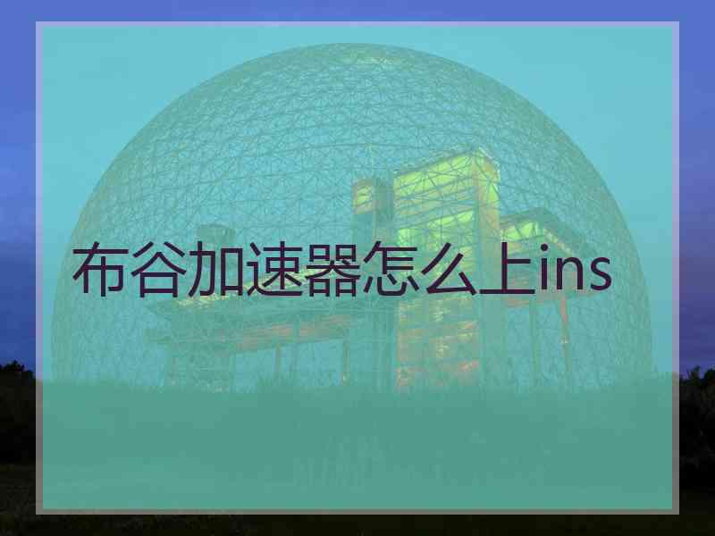 布谷加速器怎么上ins