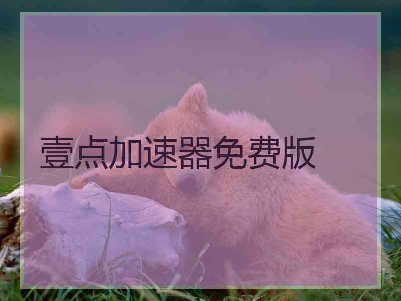 壹点加速器免费版