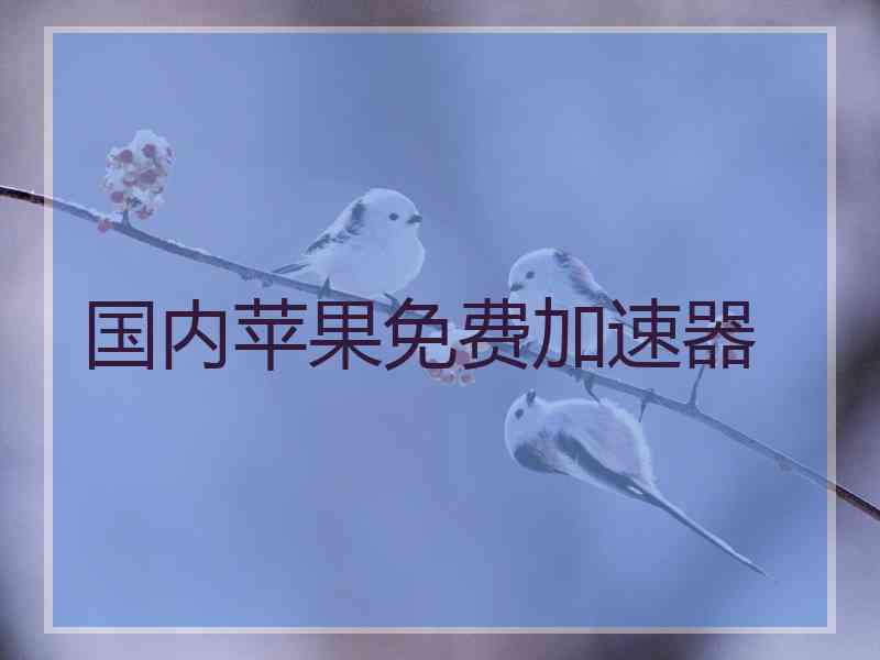 国内苹果免费加速器