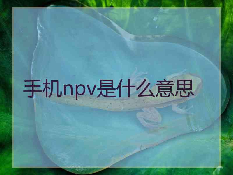 手机npv是什么意思