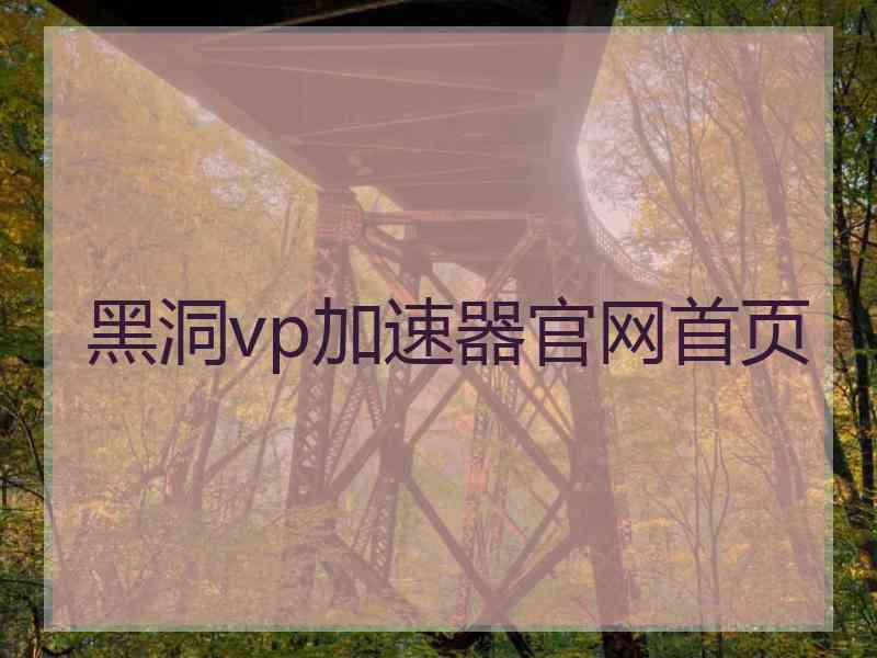 黑洞vp加速器官网首页