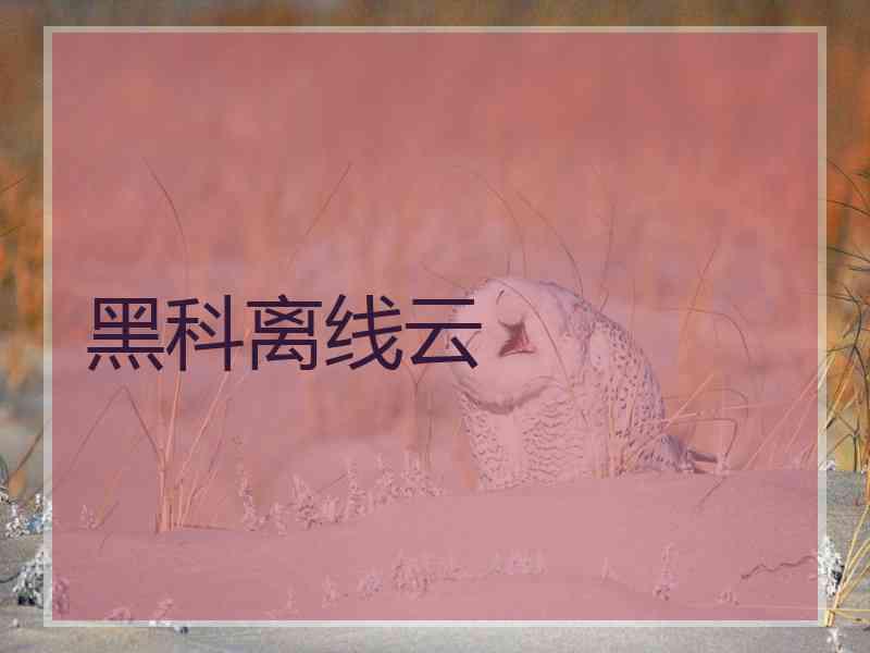 黑科离线云