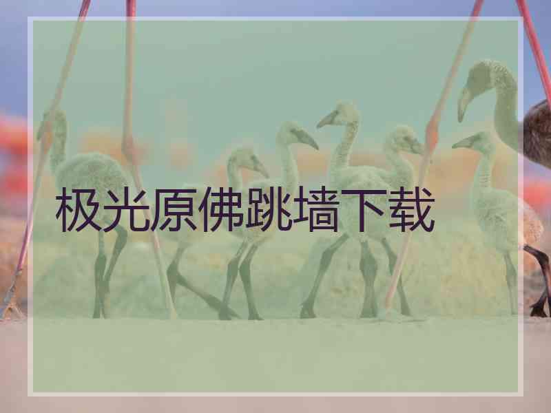 极光原佛跳墙下载