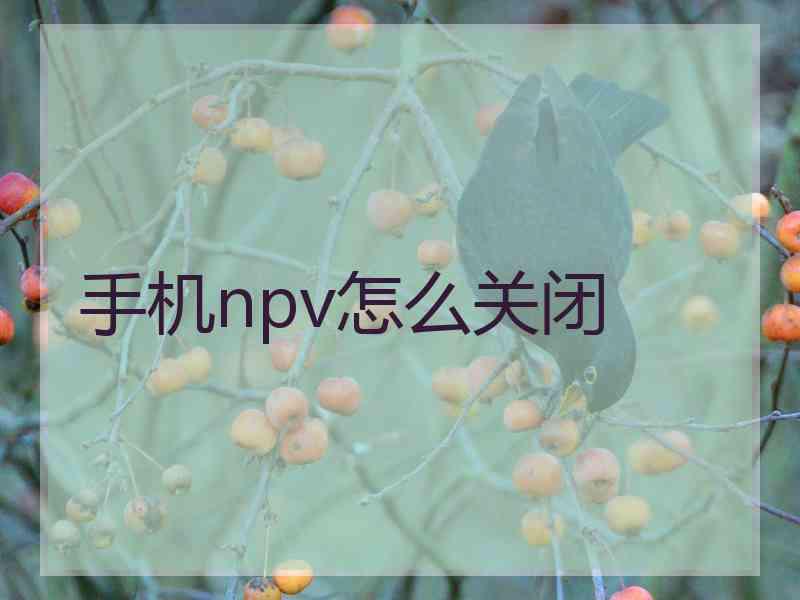 手机npv怎么关闭