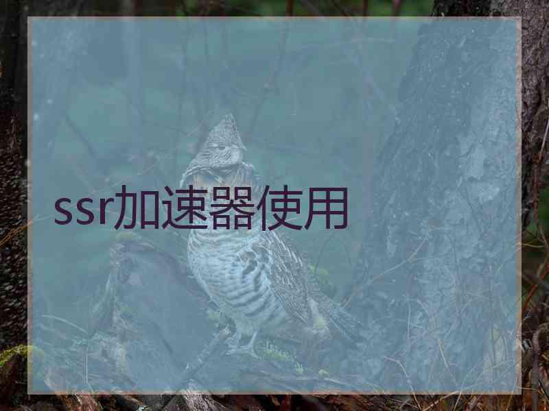 ssr加速器使用