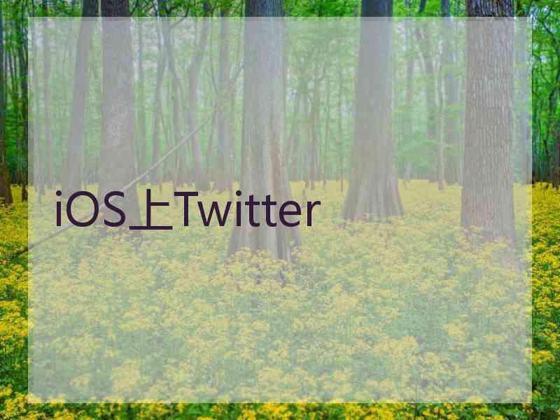 iOS上Twitter