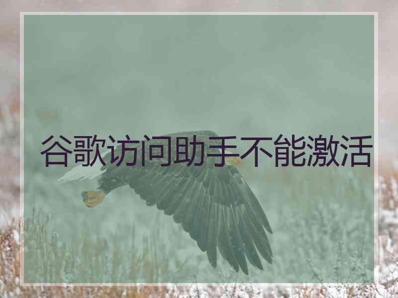 谷歌访问助手不能激活