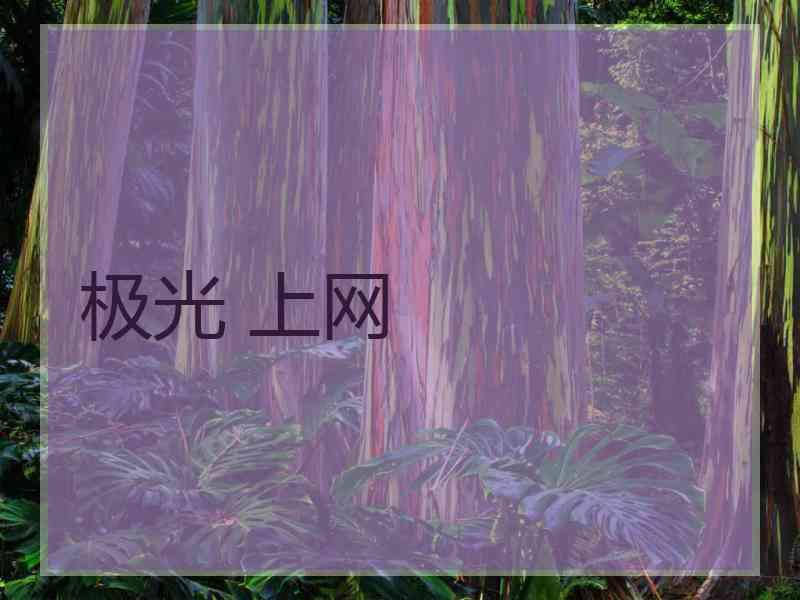 极光 上网