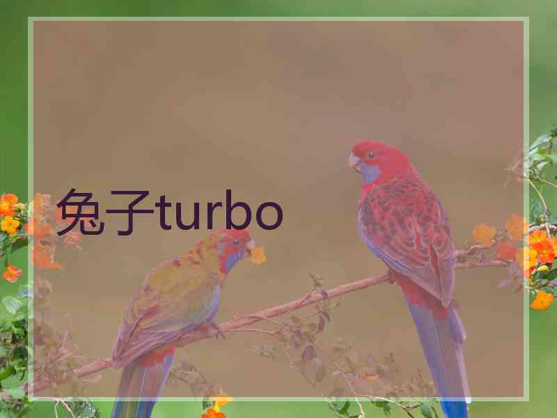 兔子turbo