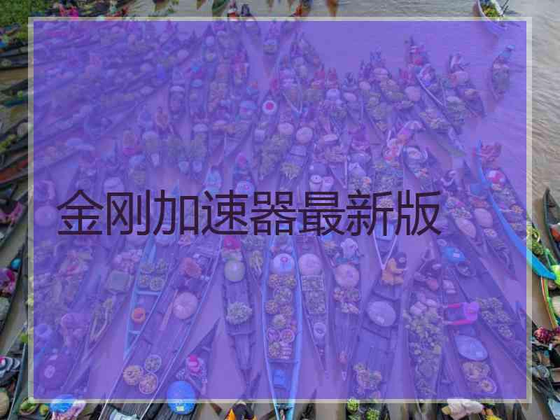 金刚加速器最新版