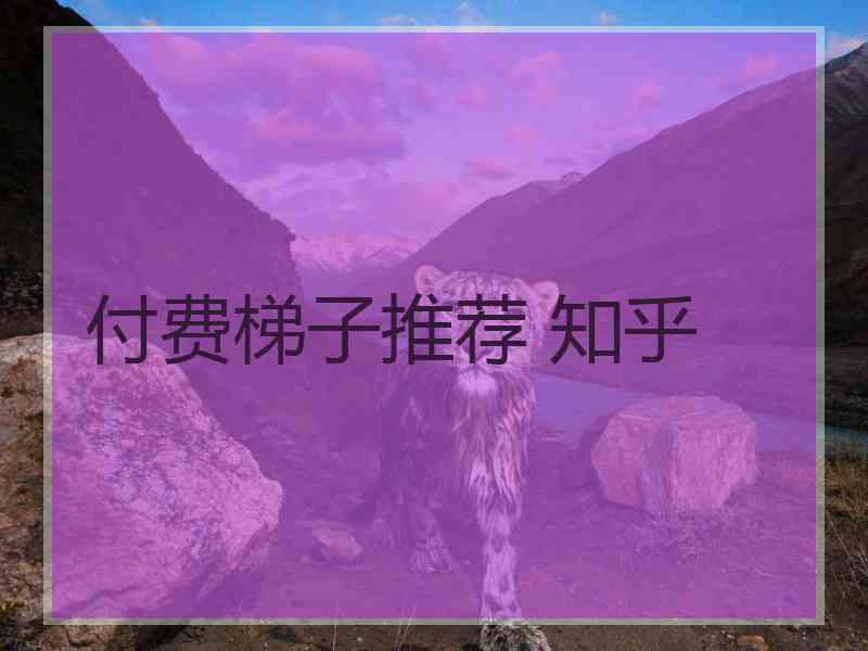 付费梯子推荐 知乎