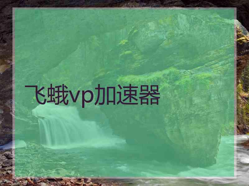 飞蛾vp加速器
