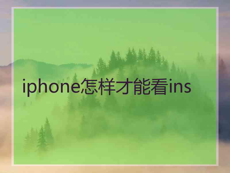 iphone怎样才能看ins