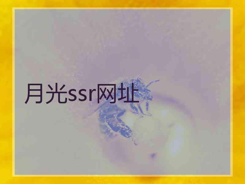 月光ssr网址