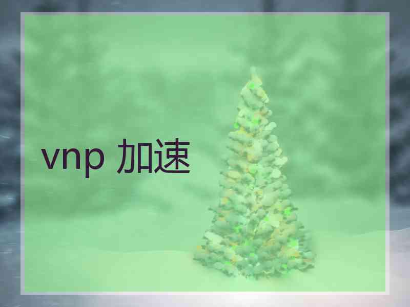 vnp 加速