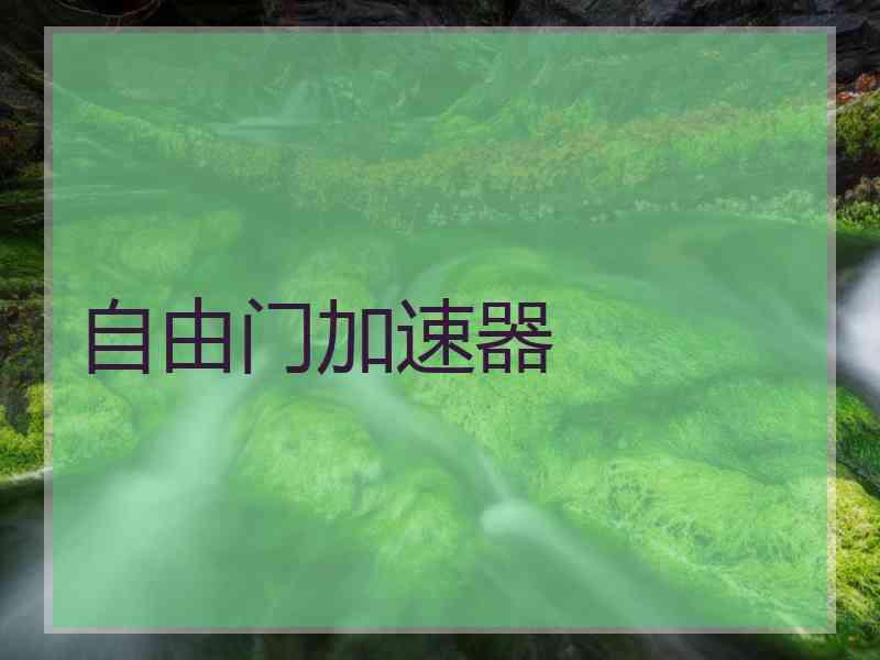 自由门加速器