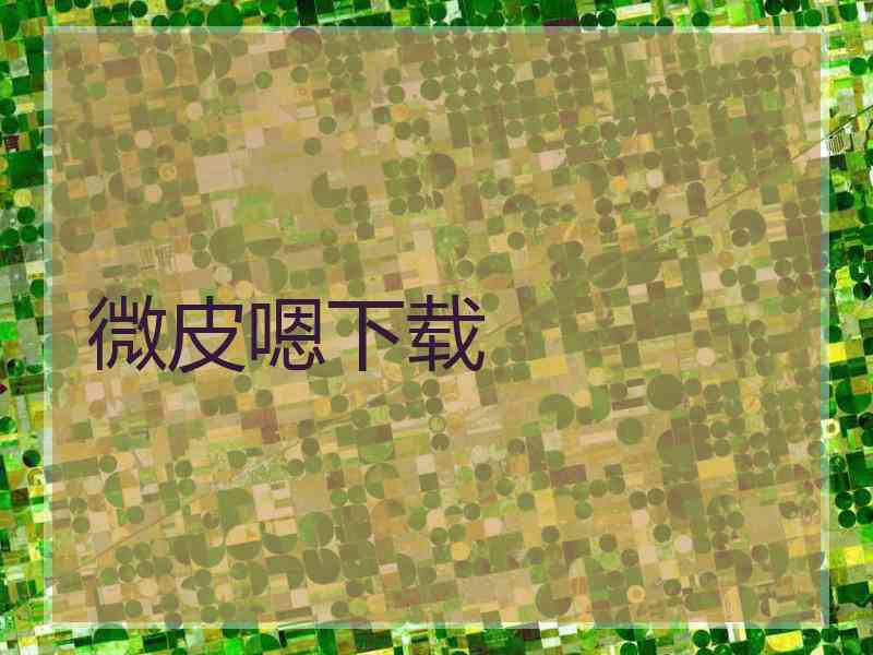 微皮嗯下载