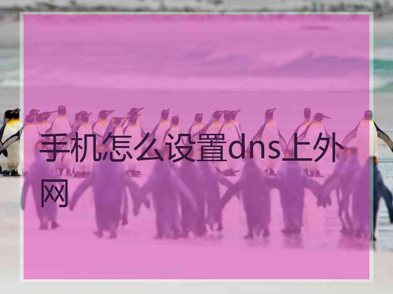手机怎么设置dns上外网