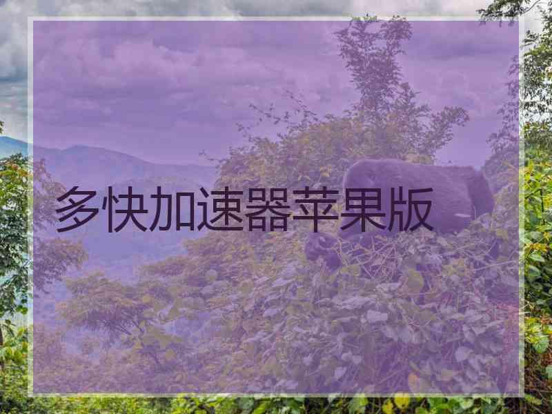 多快加速器苹果版