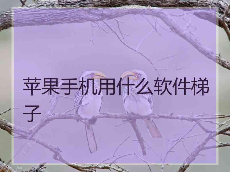 苹果手机用什么软件梯子