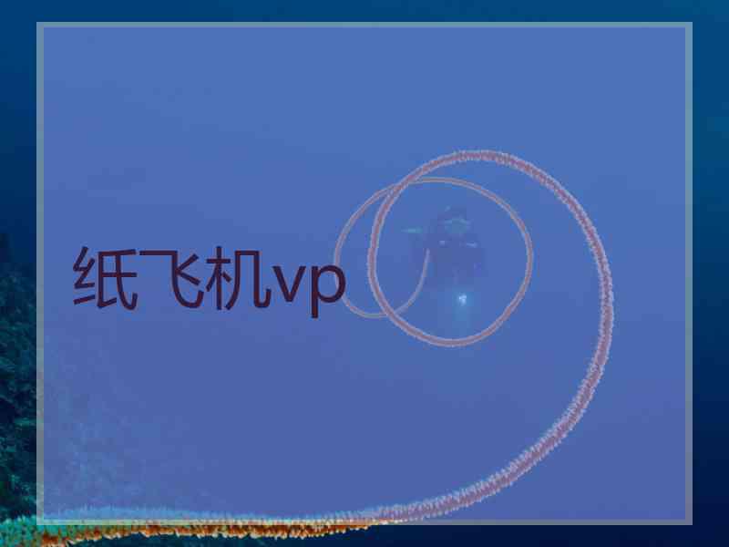 纸飞机vp