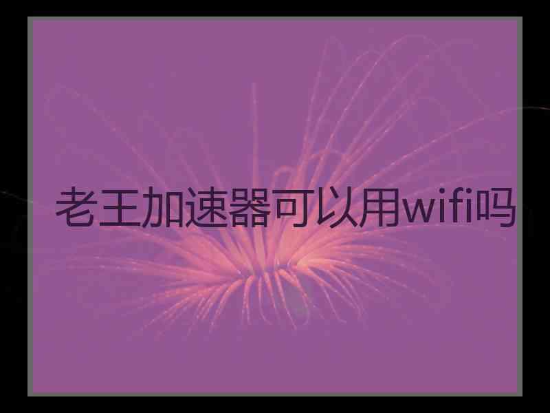 老王加速器可以用wifi吗