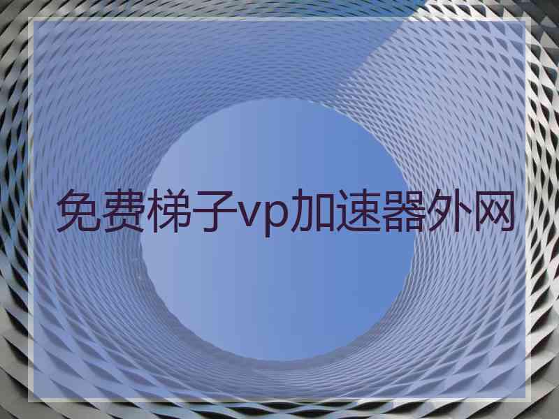 免费梯子vp加速器外网