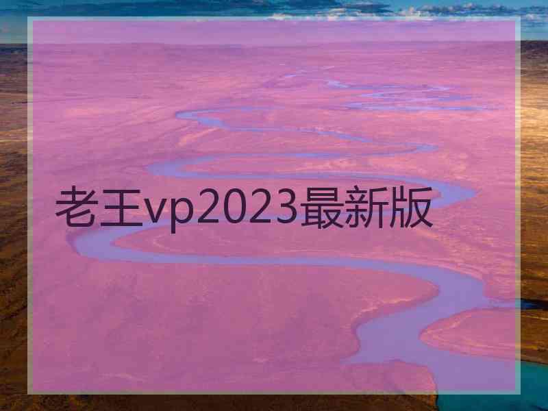 老王vp2023最新版