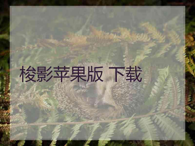 梭影苹果版 下载