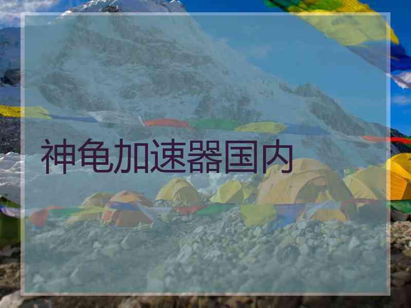 神龟加速器国内