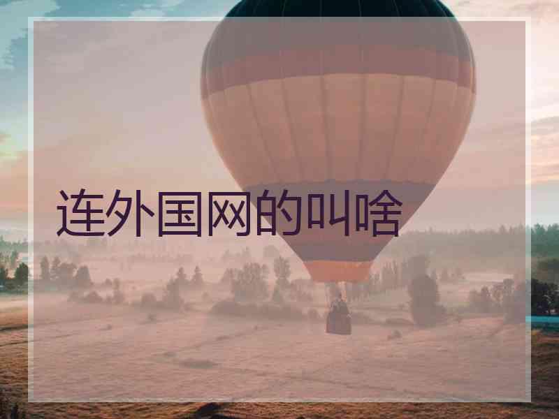 连外国网的叫啥